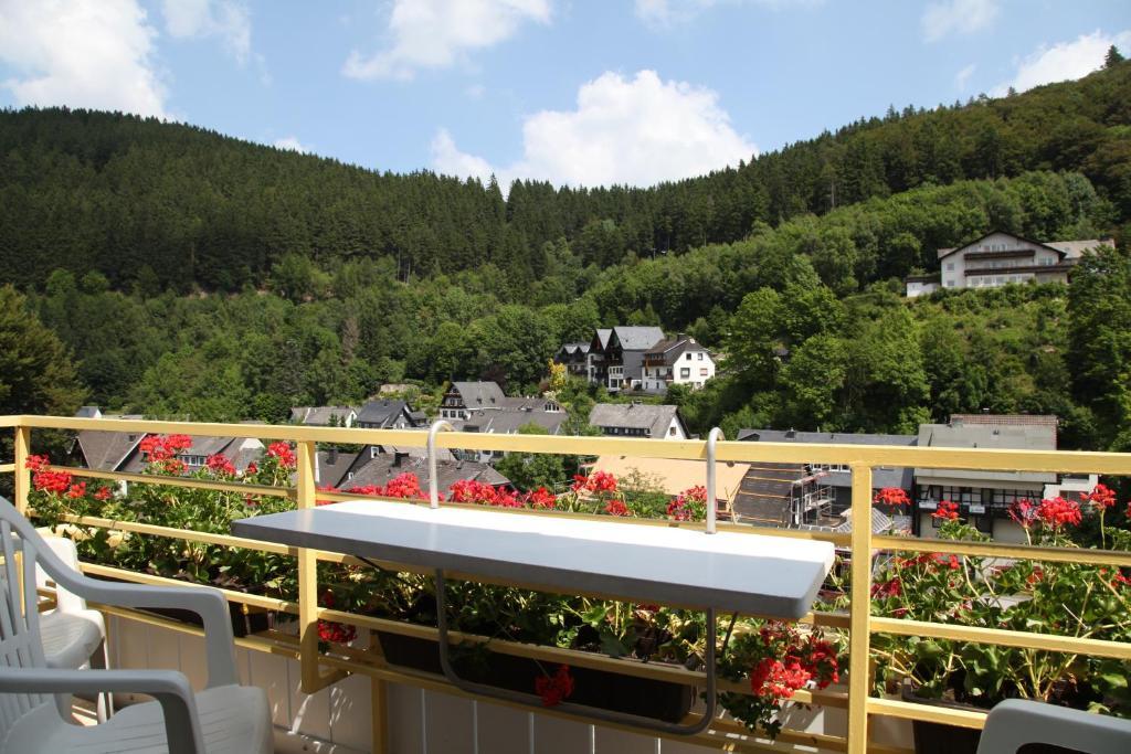 Appartementhaus Vierjahreszeiten Willingen  Værelse billede